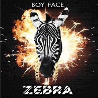 Zebra by Boy Face Download