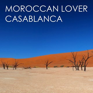 Palm Tree by Moroccan Lover Download