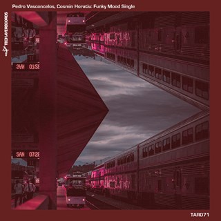 Funky Mood by Pedro Vasconcelos, Cosmin Horatiu Download