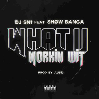 What U Workin Wit by DJ Sn1 ft Show Banga Download