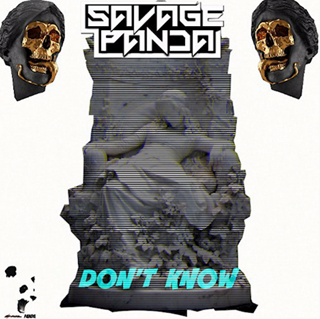 Dont Know by Savage Panda Download