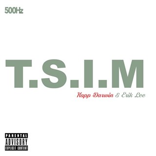 TSIM by The Anthem Download