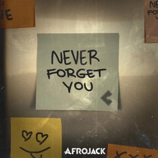 Never Forget You by Afrojack Download