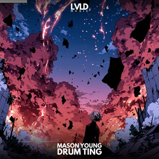 Drum Ting by Mason Young Download