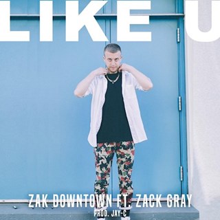 Like U by Zak Downtown ft Zack Gray Download