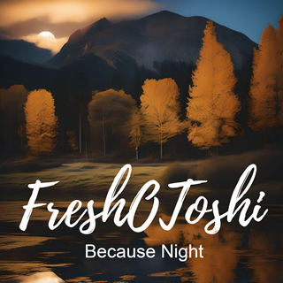 Because Night by Freshotoshi Download