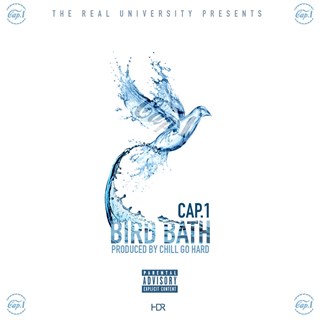 Bird Bath by Cap 1 Download