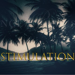 Stimulation by Vince B Download