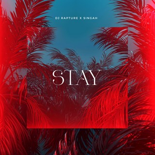 Stay by DJ Rapture ft Singah Download
