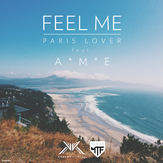 Feel Me (feat. A*M*E) by Paris Lover Download