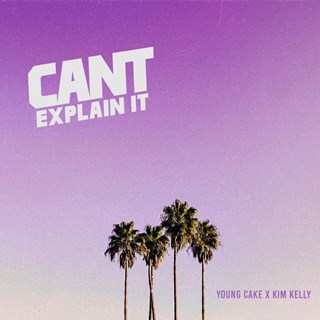 Cant Explain It by Young Cake Download