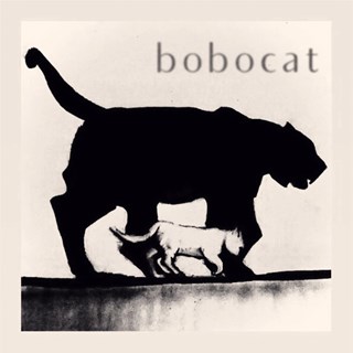 Bobocat by Winter Burn Download