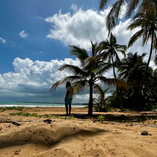 Baile Inolvidable Rodney Hazard Remix by Bad Bunny Download