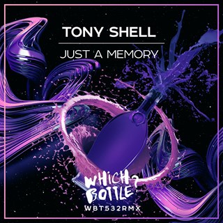 Just A Memory by Tony Shell Download