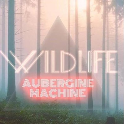 Aubergine Machine - U People (Original Mix)
