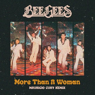 More Than A Woman by Bee Gees Download