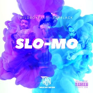Slow Mo by Wild Boy Ra ft 3Ohblack Download
