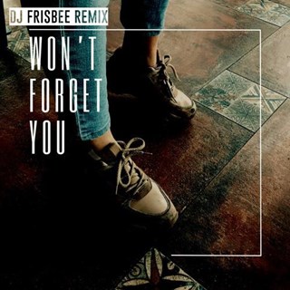 Wont Forget You by Shouse Download