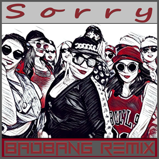 Sorry by Justin Bieber Download