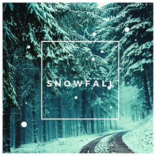 Snowfall by Nicolas Oliveros Download