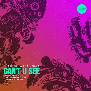 Cant U See by Shake Sofa ft Sara Download