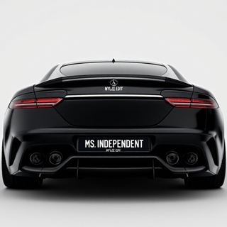 Miss Independent by Ne Yo Download