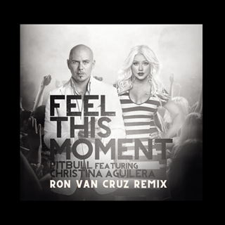 Feel The Moment by Pitbull ft Christina Aguilera Download