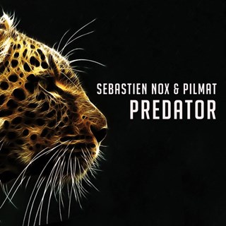 Predator by Sebastien Nox & Pilmat Download