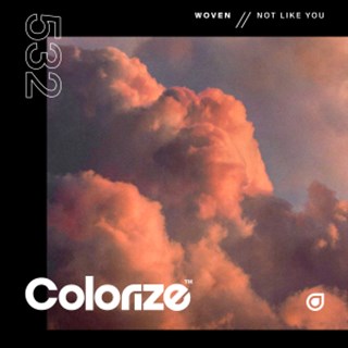 Not Like You by Woven Download