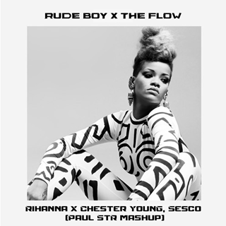 Rude Boy X The Flow by Rihanna X Chester Young & Sesco Download