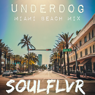 Underdog by Soulflvr Download