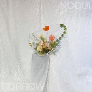 Gave It To You by Nocui Download