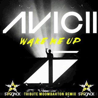 Wake Me Up by Avicii Download