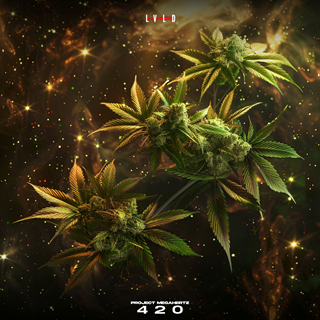 420 by Project Megahertz Download