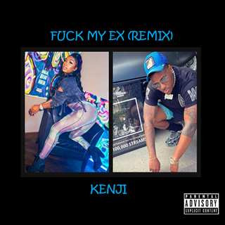 Fuck My Ex Remix by Kenji Download