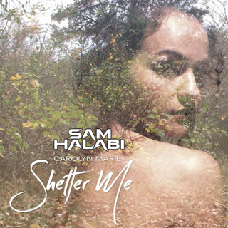 Shelter Me by Carolyn Marie Download