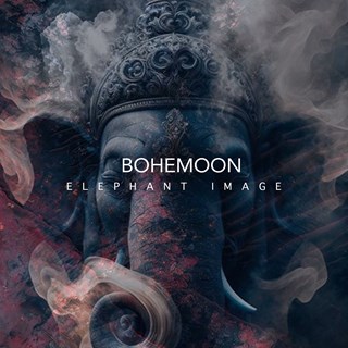 Elephant Image by Bohemoon Download