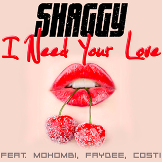 I Need Your Love by Shaggy ft Mohombi, Faydee & Costi Download
