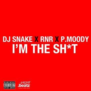 Im The Shit by DJ Snake X Rnr X P Moody Download