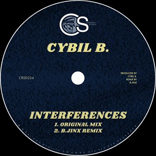 Interferences by Cybil B Download