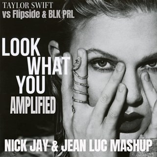 Look What You Amplified by Taylor Swift vs Flipside & Blk Prl Download