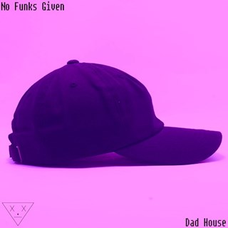 Dad House by No Funks Given Download
