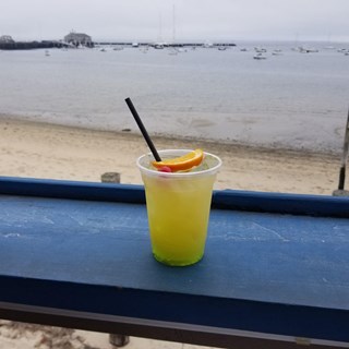 If It Feels Good by DJ Kevtech vs Speedy J Download