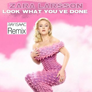 Look What Youve Done by Zara Larsson Download