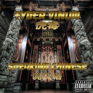 Speaking Chinese by Tyger Vinum Download