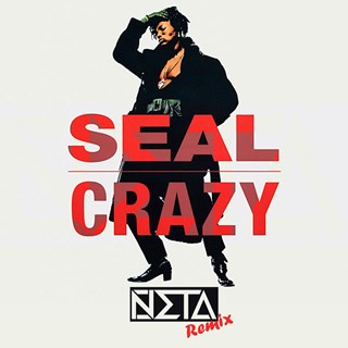 Crazy by Seal Download
