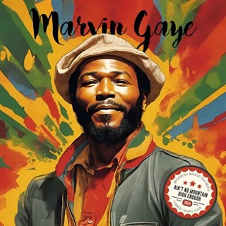 Aint No Mountain High Enough by Marvin Gaye & Tammi Terrell Download