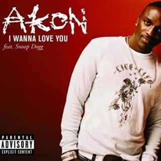 I Wanna Love You by Akon ft Snoop Dogg Download