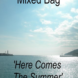 Here Comes The Summer by Mixed Bag Download