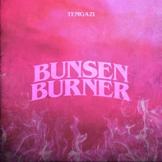 Bunsen Burner by Temgazi Download